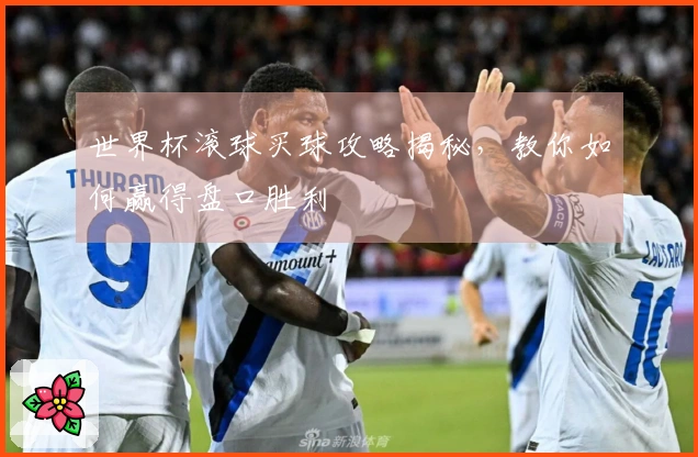 世界杯滚球买球攻略揭秘，教你如何赢得盘口胜利