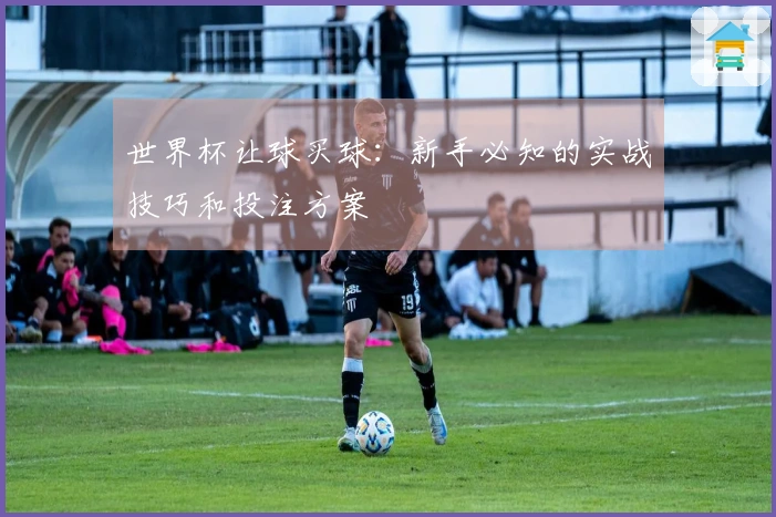世界杯让球买球：新手必知的实战技巧和投注方案