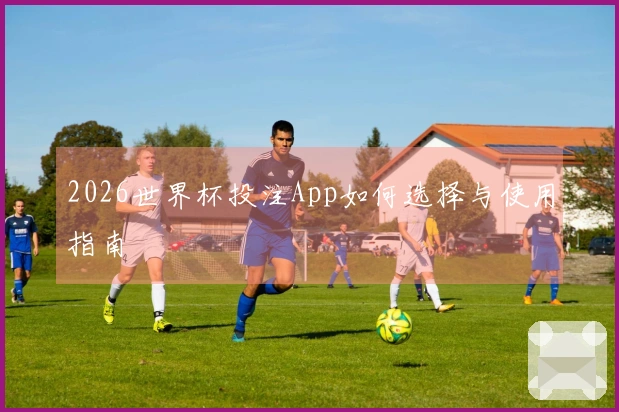 2026世界杯投注App如何选择与使用指南