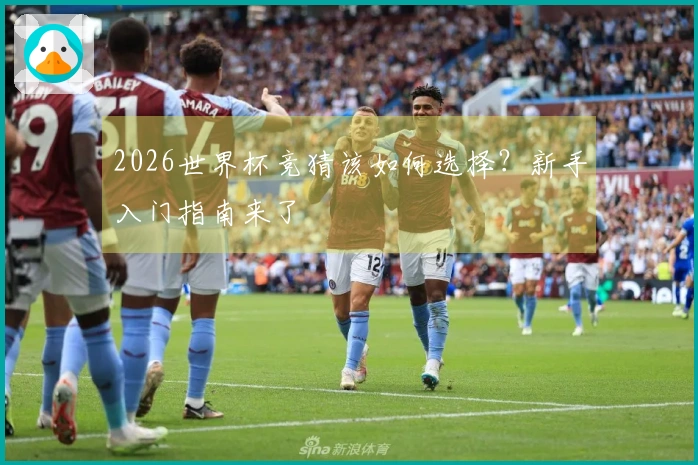 2026世界杯竞猜该如何选择？新手入门指南来了