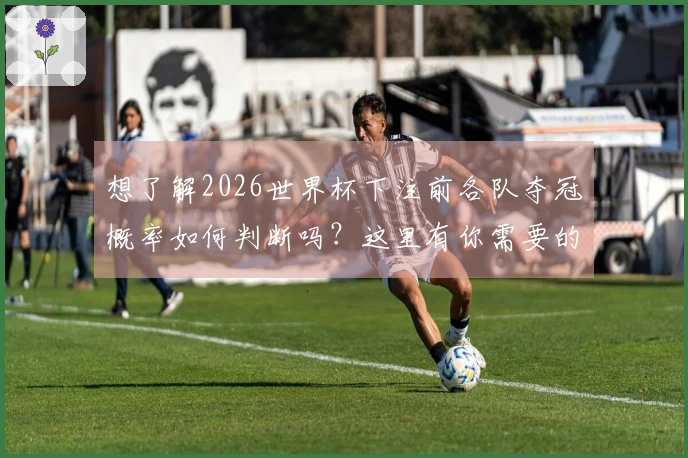 想了解2026世界杯下注前各队夺冠概率如何判断吗？这里有你需要的分析和信息