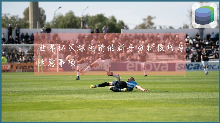 世界杯买球竞猜的新手分析技巧与注意事项