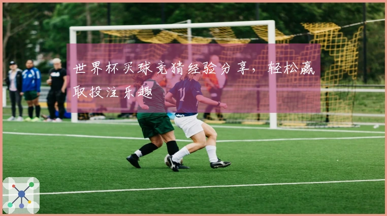世界杯买球竞猜经验分享，轻松赢取投注乐趣
