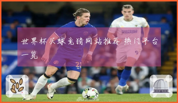 世界杯买球竞猜网站推荐 热门平台一览