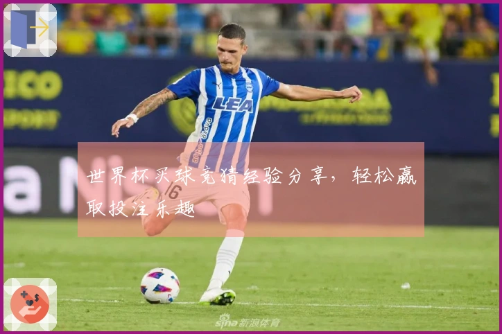世界杯买球竞猜经验分享，轻松赢取投注乐趣