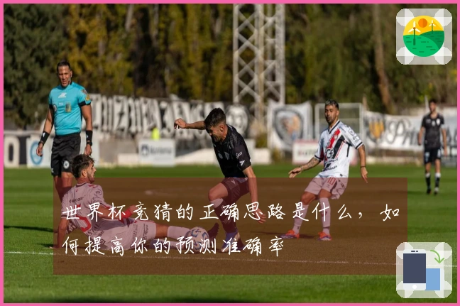 世界杯竞猜的正确思路是什么，如何提高你的预测准确率