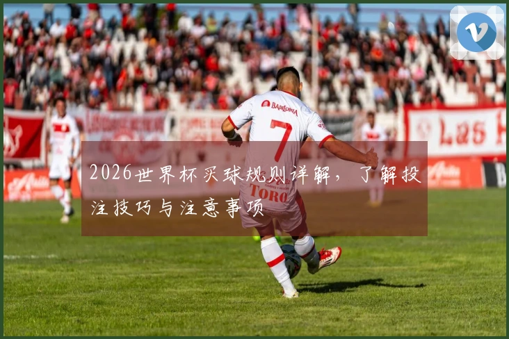 2026世界杯买球规则详解，了解投注技巧与注意事项
