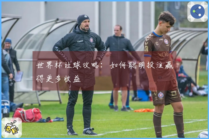 世界杯让球攻略：如何聪明投注赢得更多收益