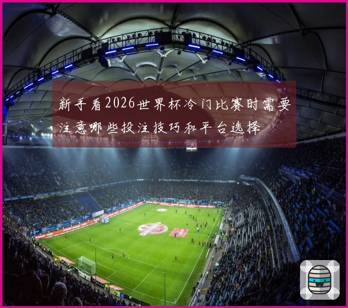 新手看2026世界杯冷门比赛时需要注意哪些投注技巧和平台选择