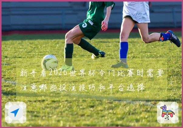 新手看2026世界杯冷门比赛时需要注意哪些投注技巧和平台选择