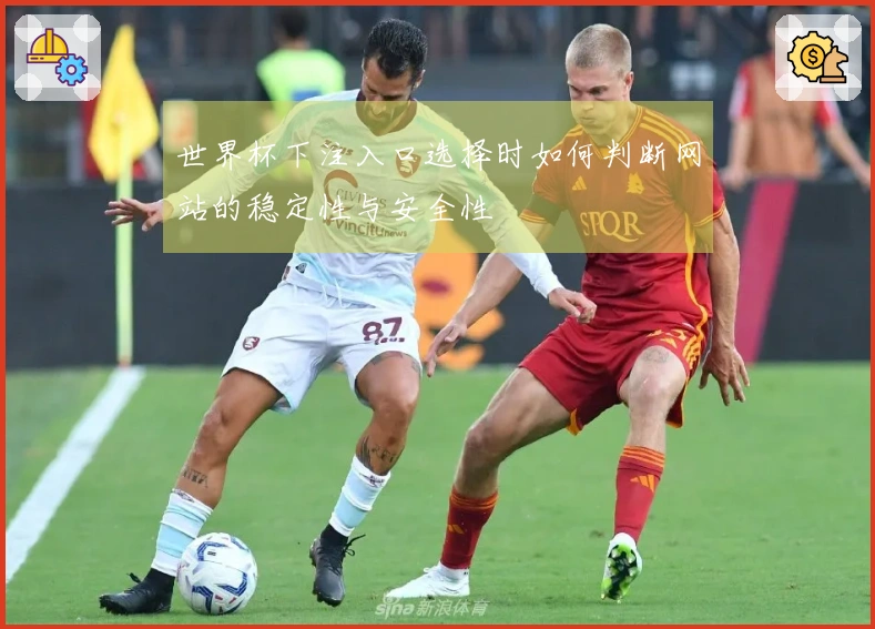 世界杯下注入口选择时如何判断网站的稳定性与安全性