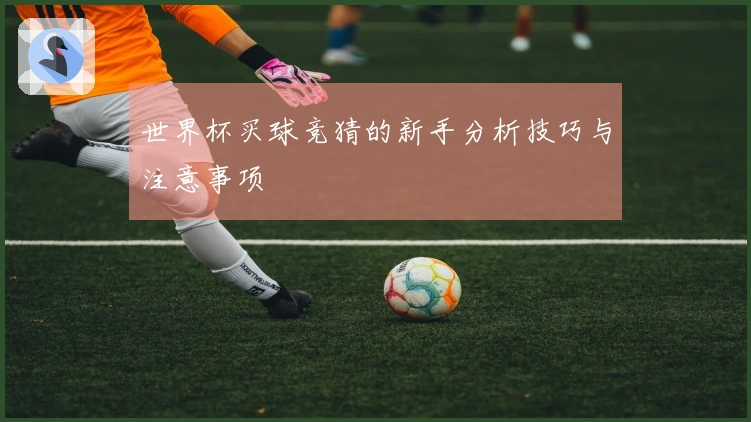 世界杯买球竞猜的新手分析技巧与注意事项