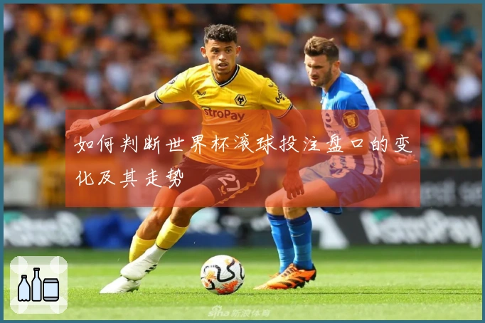 如何判断世界杯滚球投注盘口的变化及其走势